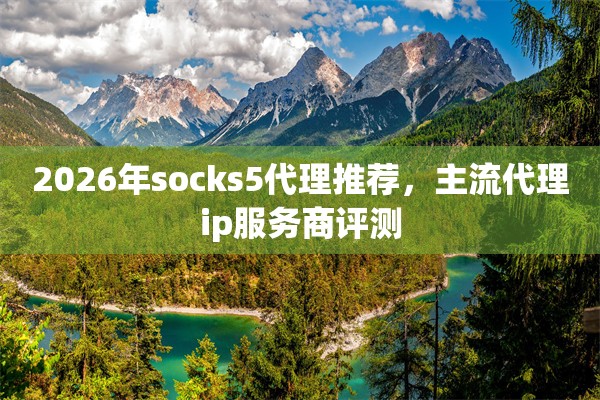 2026年socks5代理推荐,主流代理ip服务商评测