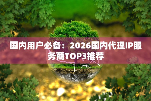 国内用户必备:2026国内代理IP服务商TOP3推荐