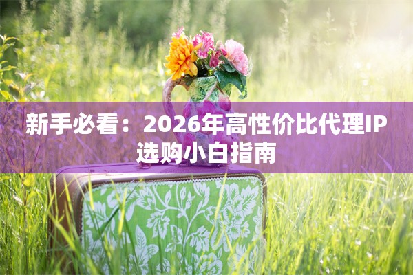 新手必看：2026年高性价比代理IP选购小白指南