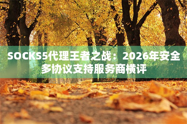 SOCKS5代理王者之战：2026年安全多协议支持服务商横评