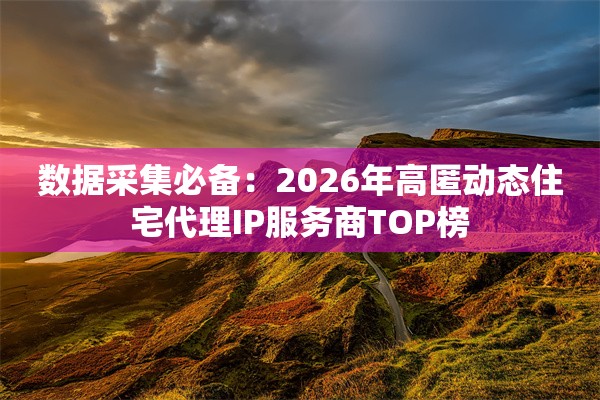 数据采集必备：2026年高匿动态住宅代理IP服务商TOP榜