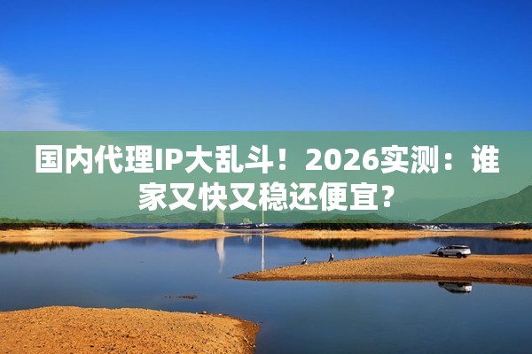 国内代理IP大乱斗！2026实测：谁家又快又稳还便宜？