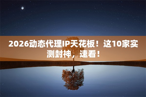 2026动态代理IP天花板！这10家实测封神，速看！