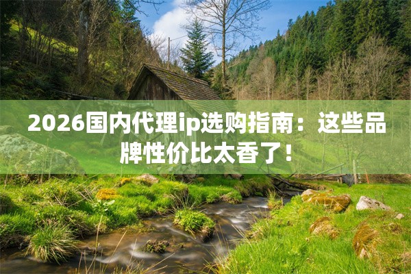 2026国内代理ip选购指南：这些品牌性价比太香了！