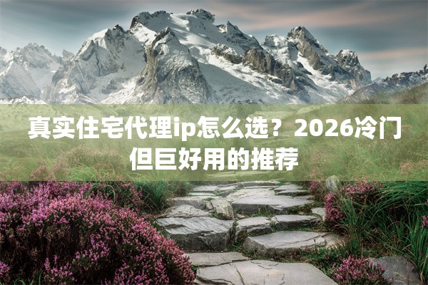 真实住宅代理ip怎么选？2026冷门但巨好用的推荐