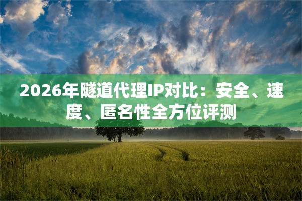 2026年隧道代理IP对比：安全、速度、匿名性全方位评测