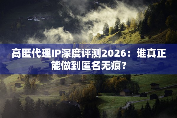 高匿代理IP深度评测2026：谁真正能做到匿名无痕？