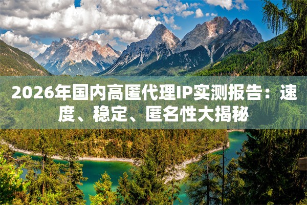 2026年国内高匿代理IP实测报告：速度、稳定、匿名性大揭秘