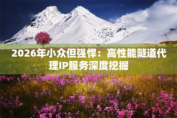 2026年小众但强悍：高性能隧道代理IP服务深度挖掘