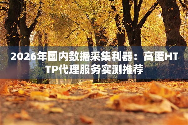 2026年国内数据采集利器：高匿HTTP代理服务实测推荐