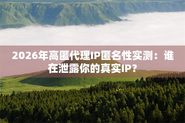 2026年高匿代理IP匿名性实测：谁在泄露你的真实IP？