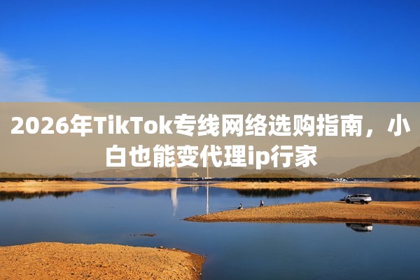2026年TikTok专线网络选购指南，小白也能变代理ip行家