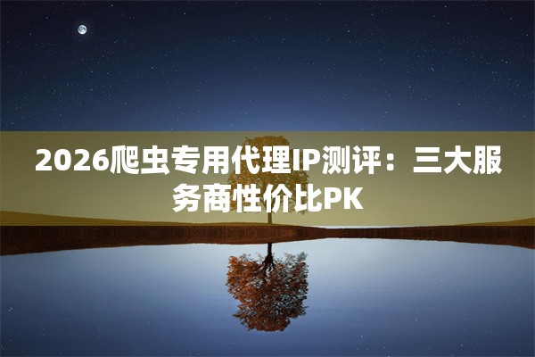2026爬虫专用代理IP测评：三大服务商性价比PK