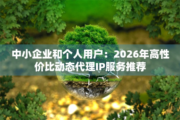 中小企业和个人用户：2026年高性价比动态代理IP服务推荐