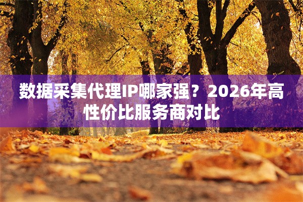 数据采集代理IP哪家强？2026年高性价比服务商对比