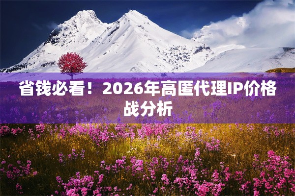 省钱必看！2026年高匿代理IP价格战分析
