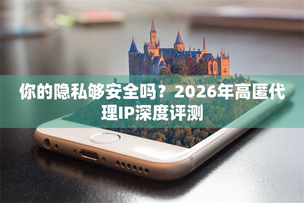 你的隐私够安全吗？2026年高匿代理IP深度评测