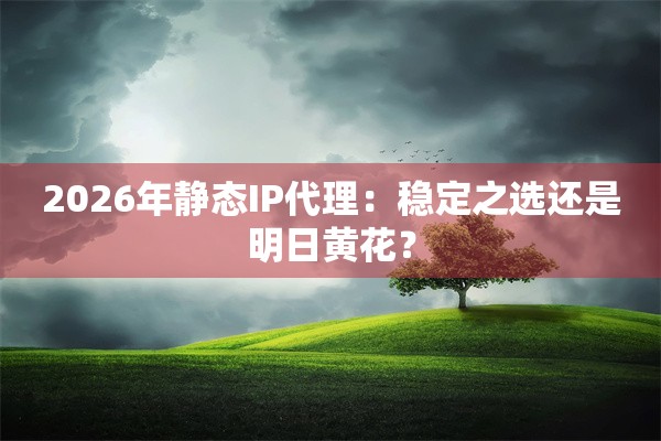 2026年静态IP代理：稳定之选还是明日黄花？