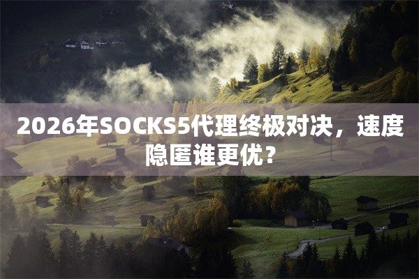 2026年SOCKS5代理终极对决,速度隐匿谁更优?