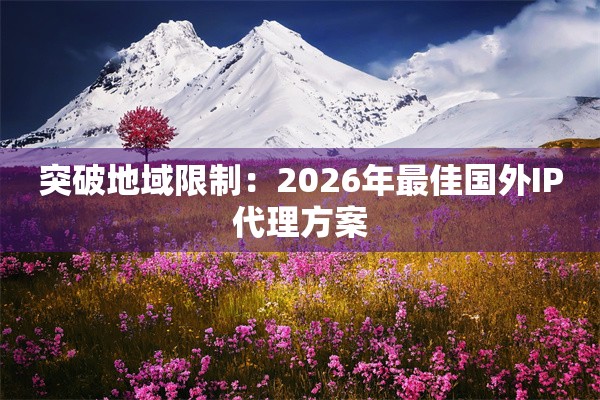 突破地域限制:2026年最佳国外IP代理方案