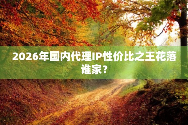 2026年国内代理IP性价比之王花落谁家?