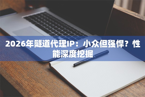 2026年隧道代理IP:小众但强悍?性能深度挖掘
