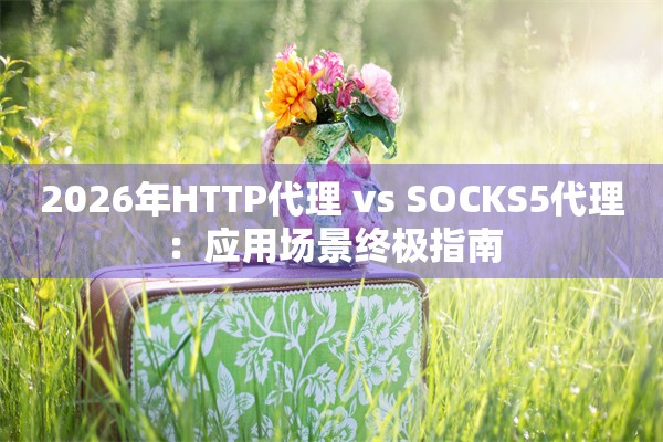 2026年HTTP代理 vs SOCKS5代理：应用场景终极指南