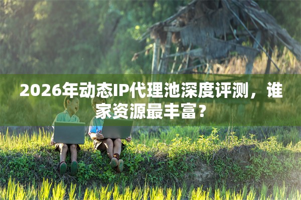 2026年动态IP代理池深度评测，谁家资源最丰富？