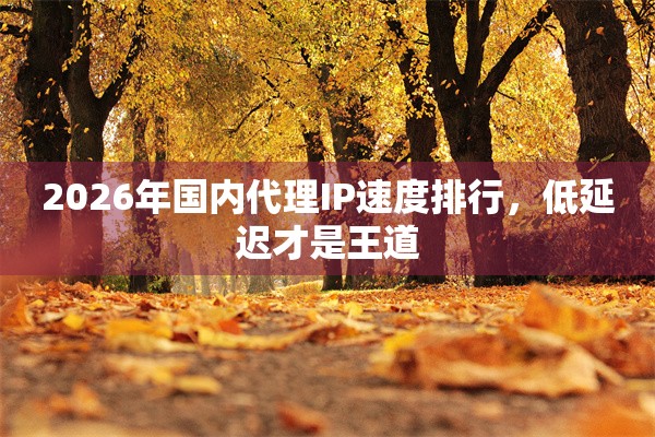 2026年国内代理IP速度排行，低延迟才是王道