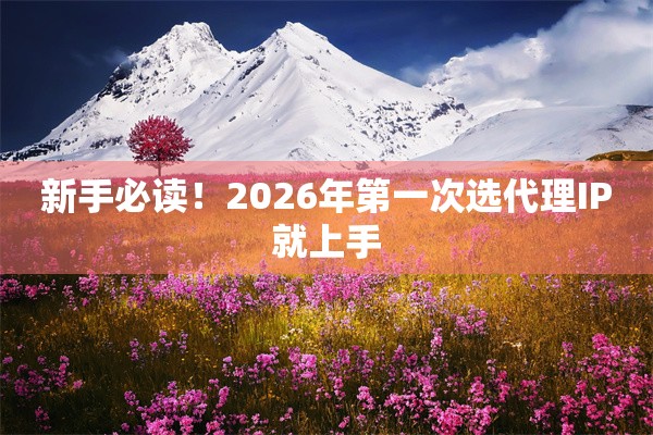 新手必读！2026年第一次选代理IP就上手