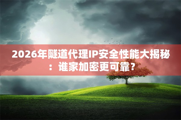 2026年隧道代理IP安全性能大揭秘:谁家加密更可靠?