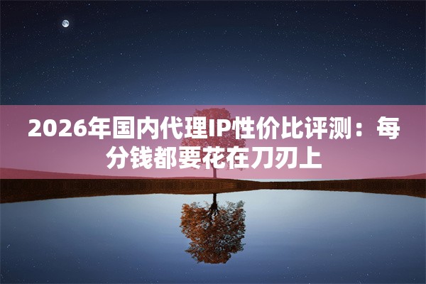 2026年国内代理IP性价比评测：每分钱都要花在刀刃上