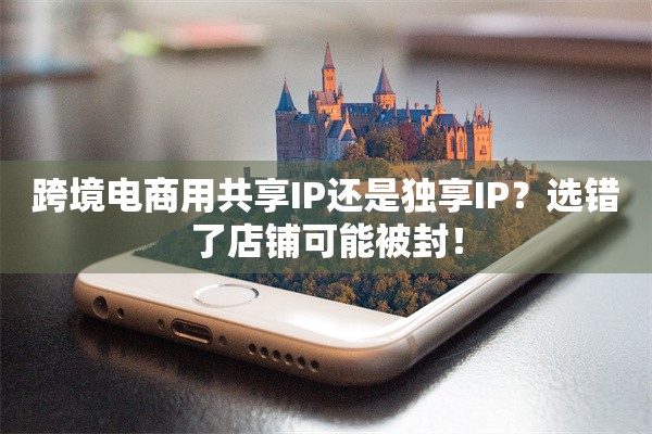 跨境电商用共享IP还是独享IP？选错了店铺可能被封！