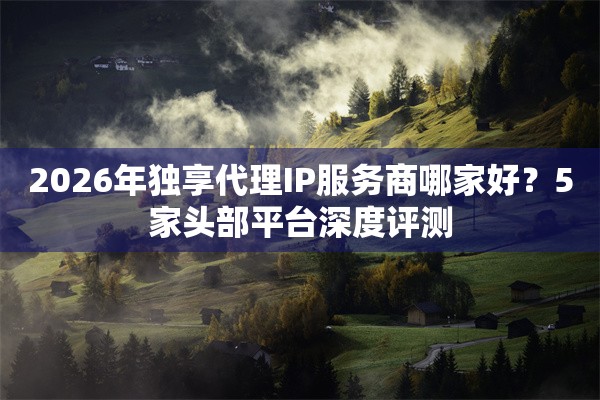 2026年独享代理IP服务商哪家好？5家头部平台深度评测