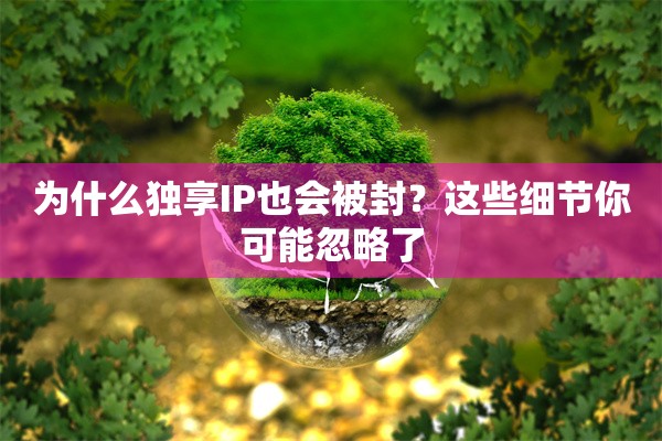 为什么独享IP也会被封？这些细节你可能忽略了