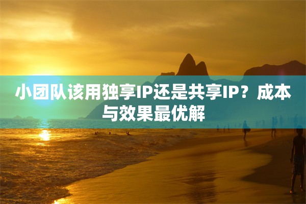 小团队该用独享IP还是共享IP？成本与效果最优解