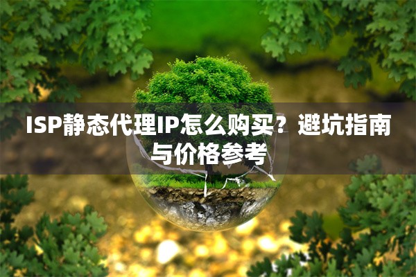 ISP静态代理IP怎么购买？避坑指南与价格参考