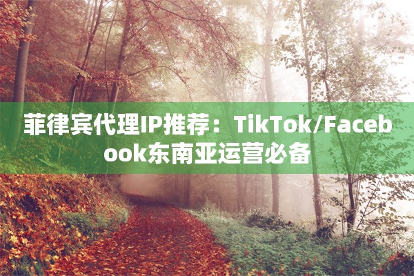 菲律宾代理IP推荐：TikTok/Facebook东南亚运营必备