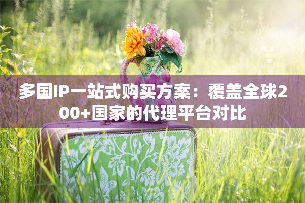 多国IP一站式购买方案:覆盖全球200+国家的代理平台对比