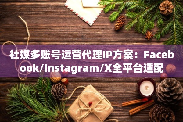 社媒多账号运营代理IP方案:Facebook/Instagram/X全平台适配