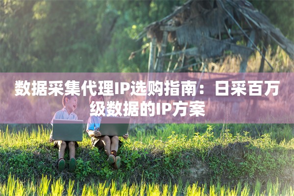 数据采集代理IP选购指南：日采百万级数据的IP方案