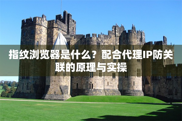 指纹浏览器是什么?配合代理IP防关联的原理与实操
