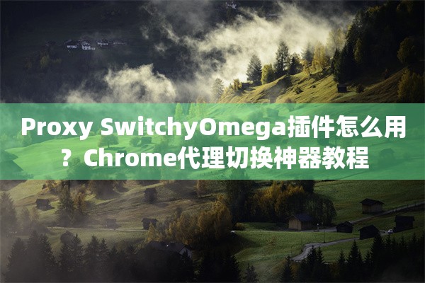 Proxy SwitchyOmega插件怎么用?Chrome代理切换神器教程
