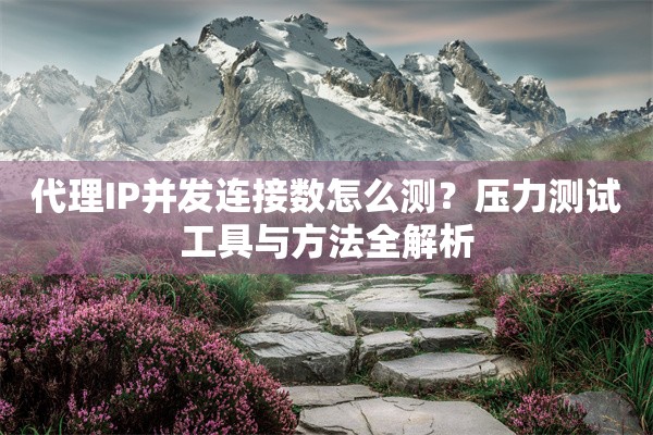 代理IP并发连接数怎么测?压力测试工具与方法全解析