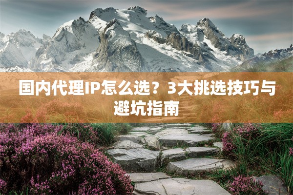 国内代理IP怎么选？3大挑选技巧与避坑指南