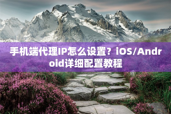手机端代理IP怎么设置？iOS/Android详细配置教程