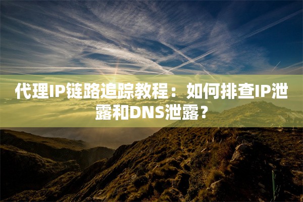 代理IP链路追踪教程：如何排查IP泄露和DNS泄露？