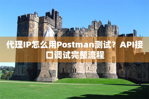 代理IP怎么用Postman测试？API接口调试完整流程