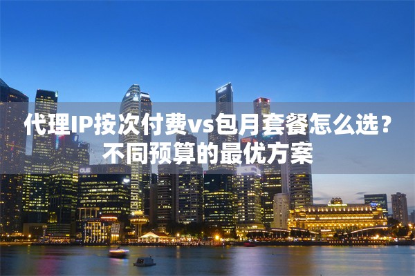 代理IP按次付费vs包月套餐怎么选?不同预算的最优方案
