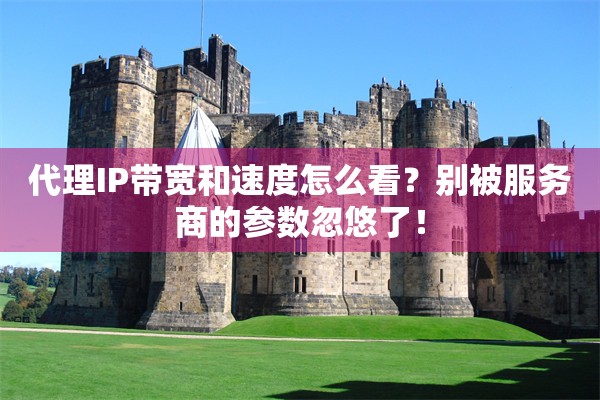 代理IP带宽和速度怎么看?别被服务商的参数忽悠了!